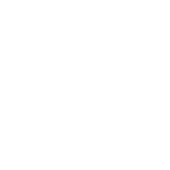 KYIV CLASSIC BALLET